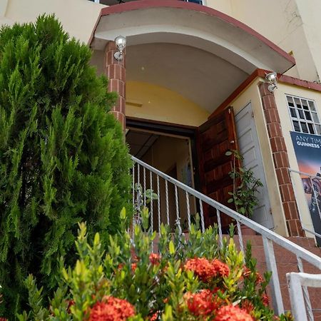 Yellow Belly Backpackers San Ignacio Exterior foto