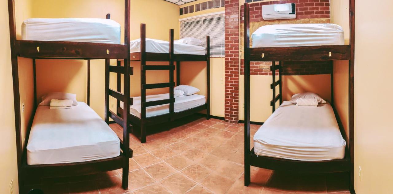 Yellow Belly Backpackers San Ignacio Exterior foto