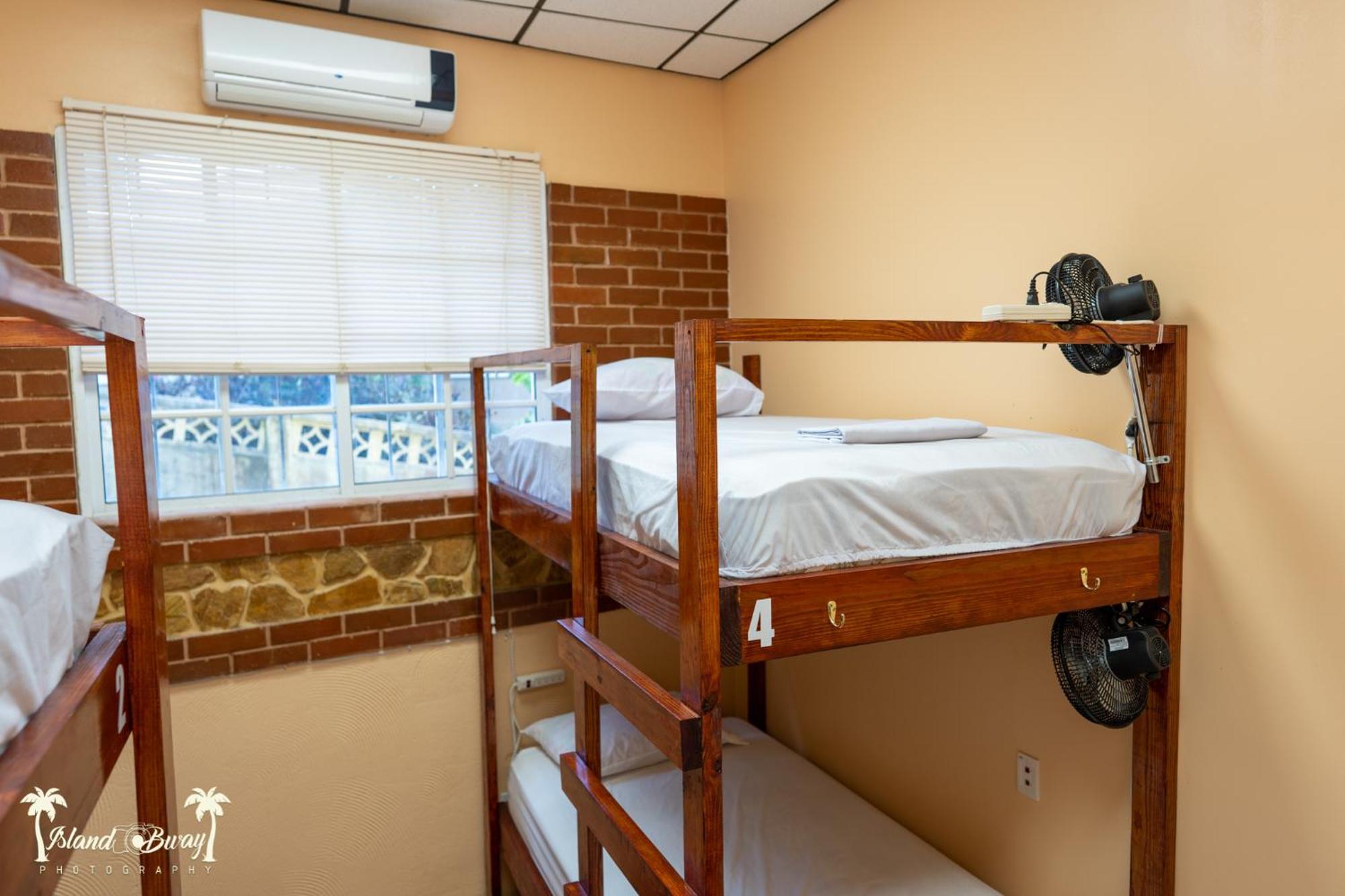 Yellow Belly Backpackers San Ignacio Zimmer foto