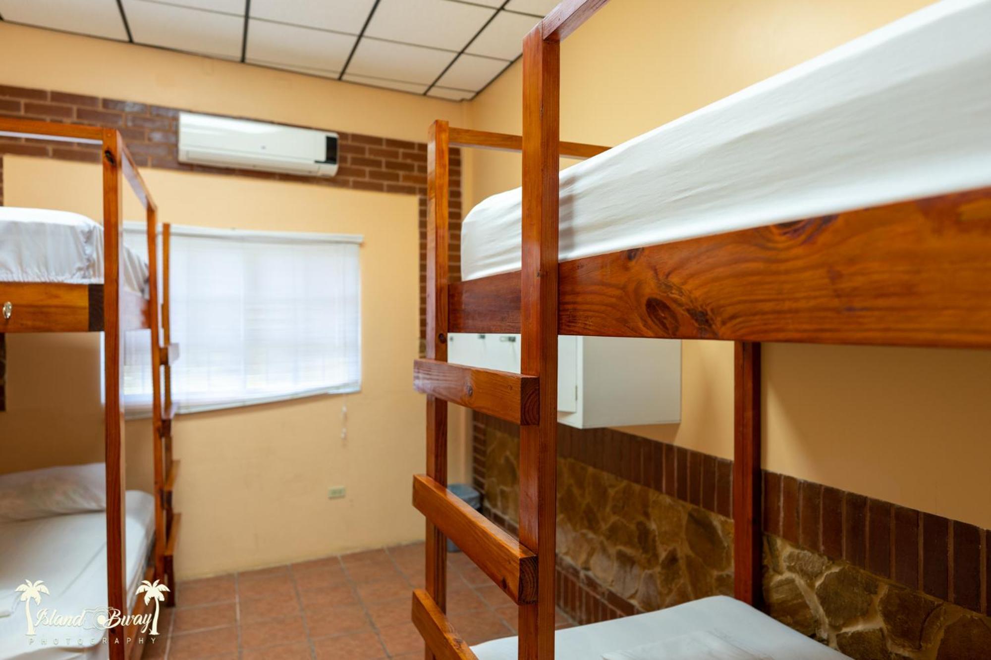 Yellow Belly Backpackers San Ignacio Zimmer foto