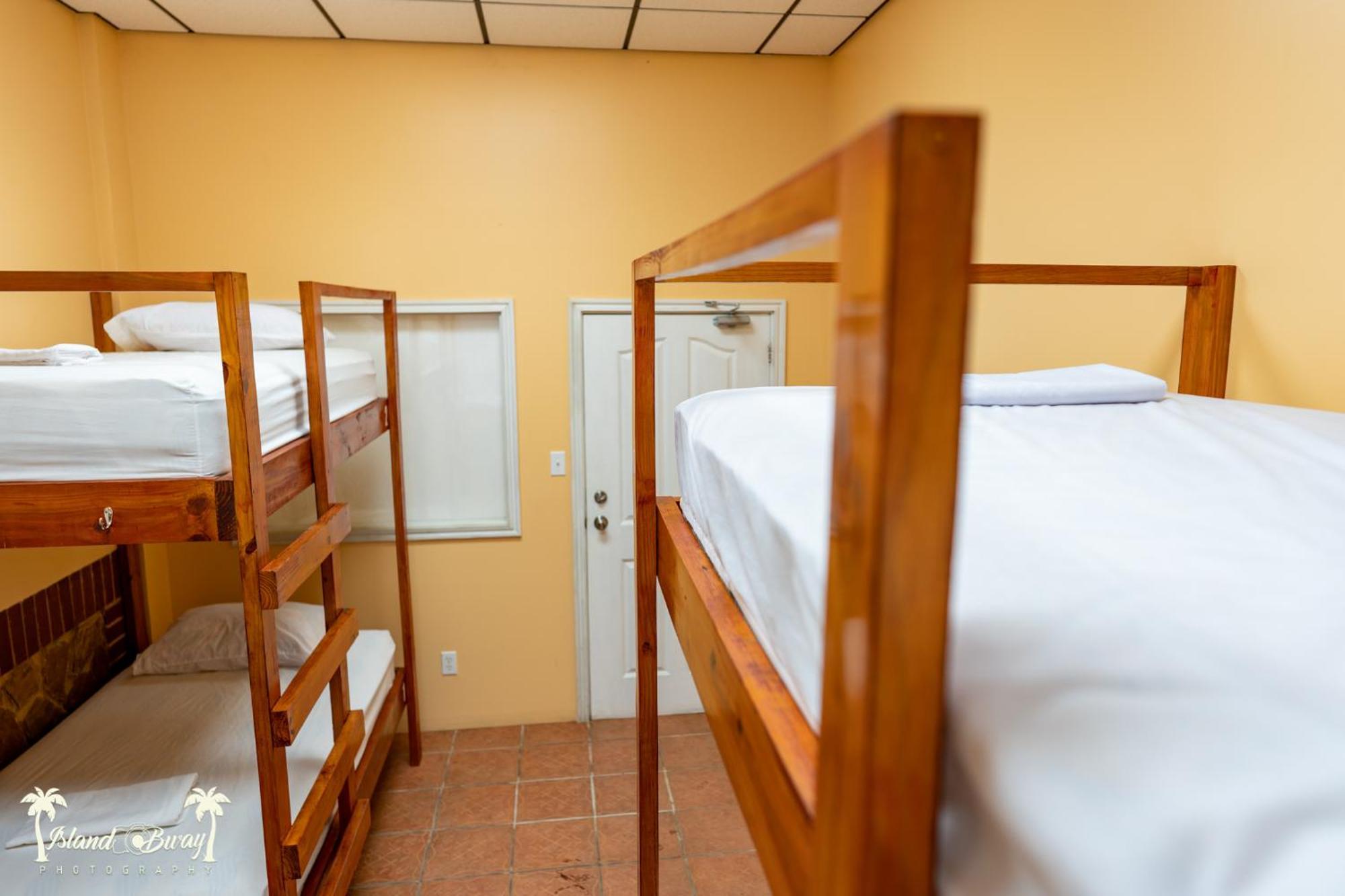 Yellow Belly Backpackers San Ignacio Zimmer foto